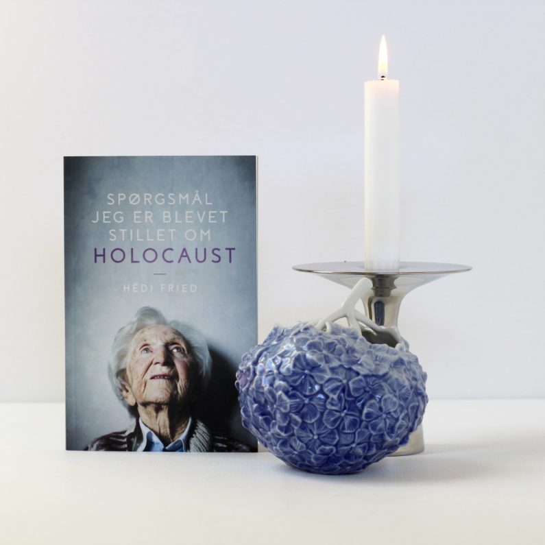 Spørgsmål jeg er blevet stillet om holocaust, Hedi Fried, Bogoplevelsen